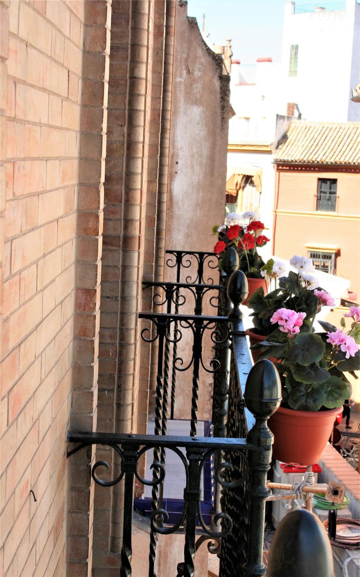 Cicerone de Sevilla Exterior foto